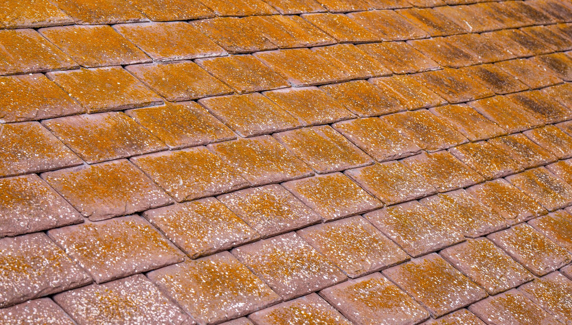 Architectural Shingle Install – Florence