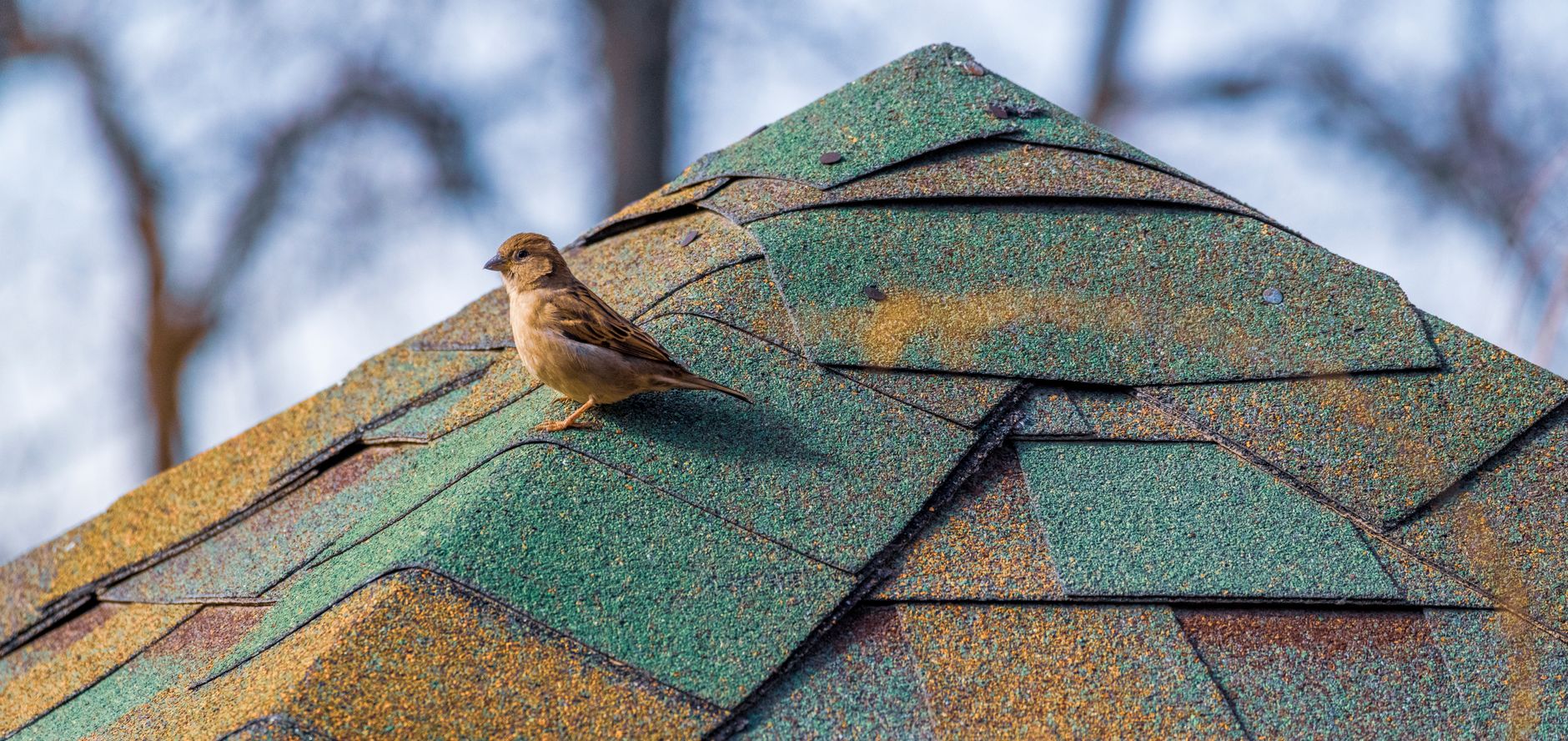 Metal Roofing – Florence